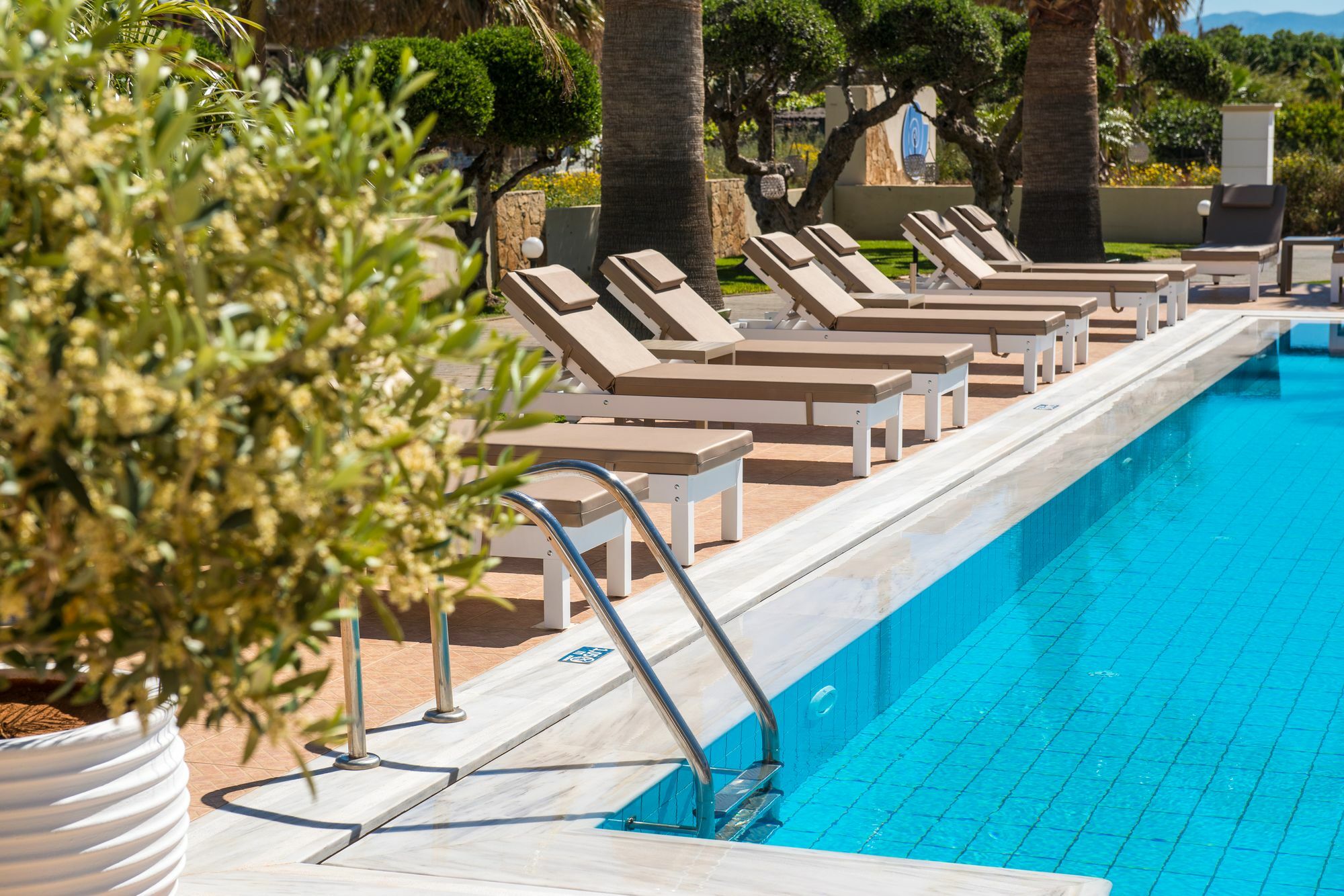 Ammos Boutique Apartments & Suites ماليا المظهر الخارجي الصورة